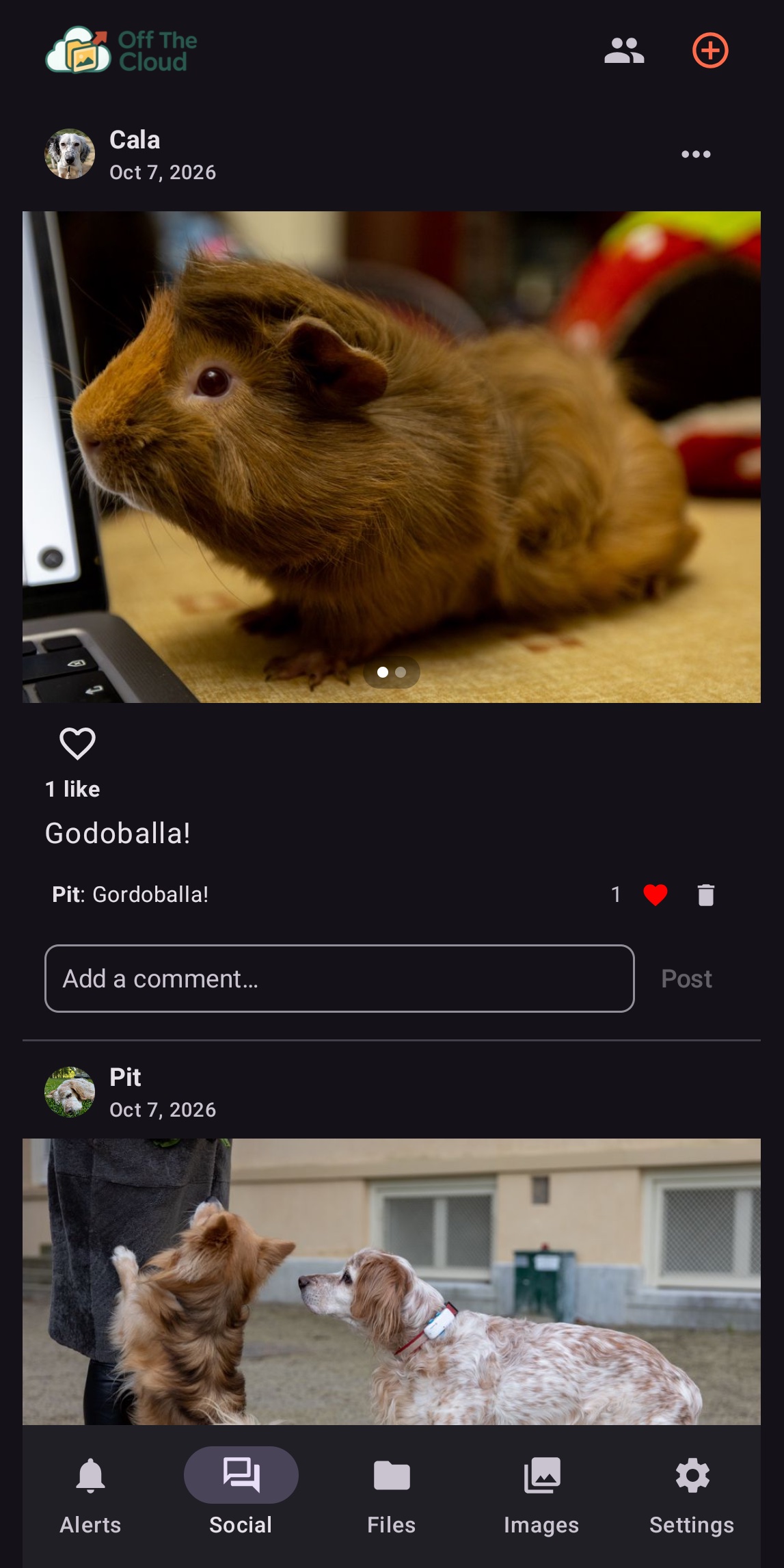 Social: posts and comments shared only with friends' devices