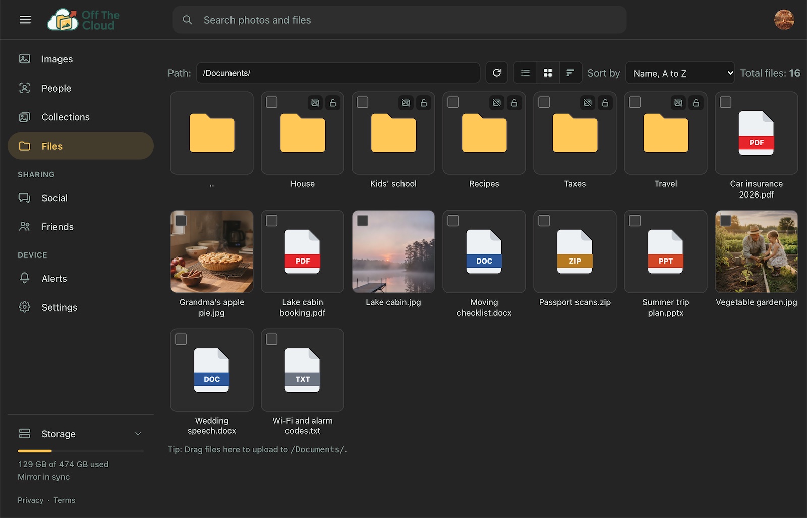 Files in the web app, as a grid